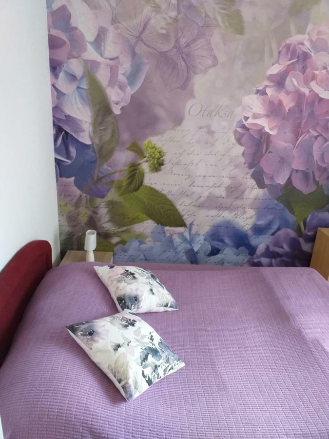 Apartment Yelena Rose West Zadar Buitenkant foto